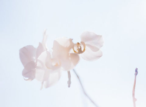 Burning skin: 8 tips to soothe your face